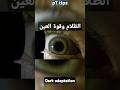 إزاي عينك بتتأقلم مع الضلمة Dark Adaptation إزاي عينك بتتأقلم مع الضلمة Dark Adaptation