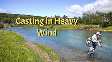 Tom Rosenbauer - Casting in the Wind