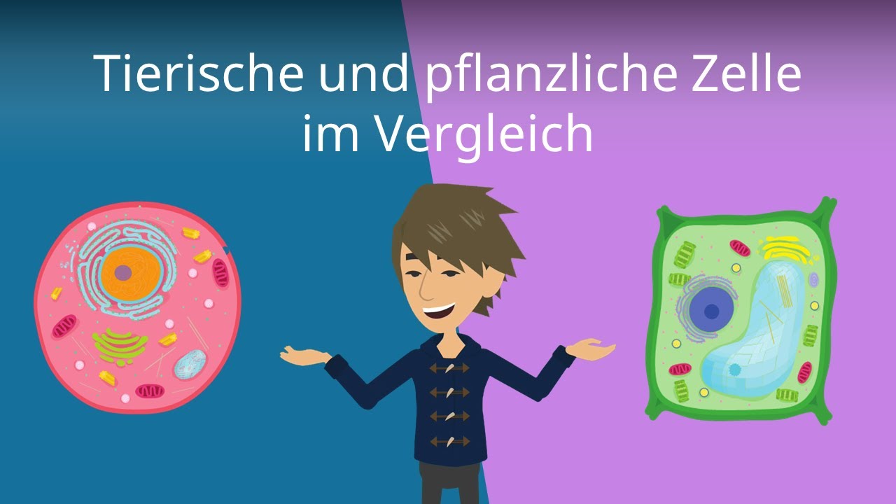 ACTIVIA 100% Pflanzlich