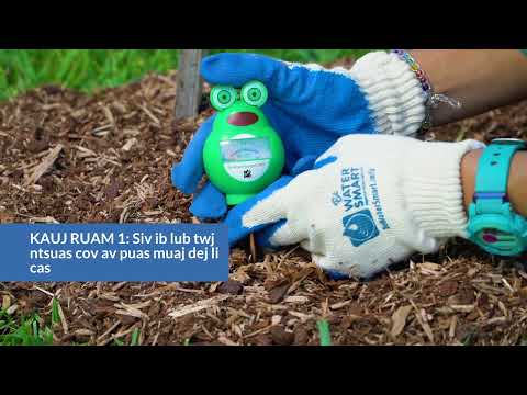 Video: Siv Cov Tswv Yim Tsis-Organic Garden Methods