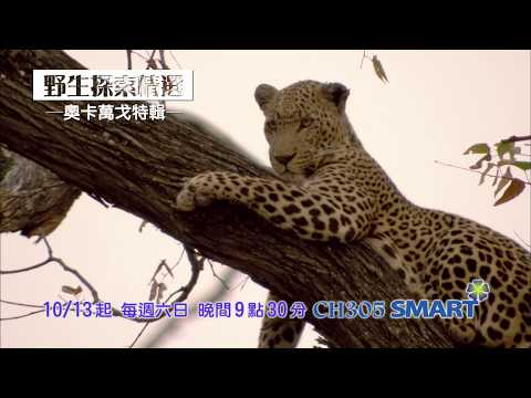 SMART知識台【奧卡萬戈特輯】精彩預告