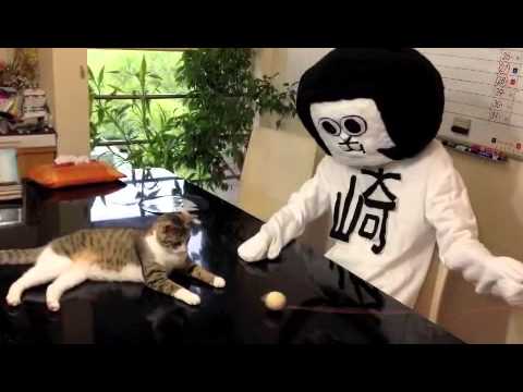 猫と遊ぶオカザえもん Youtube