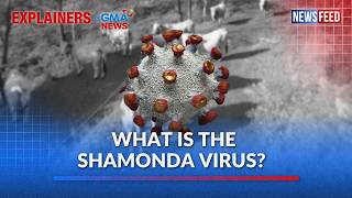 What is the Shamonda virus | GMA News Feed