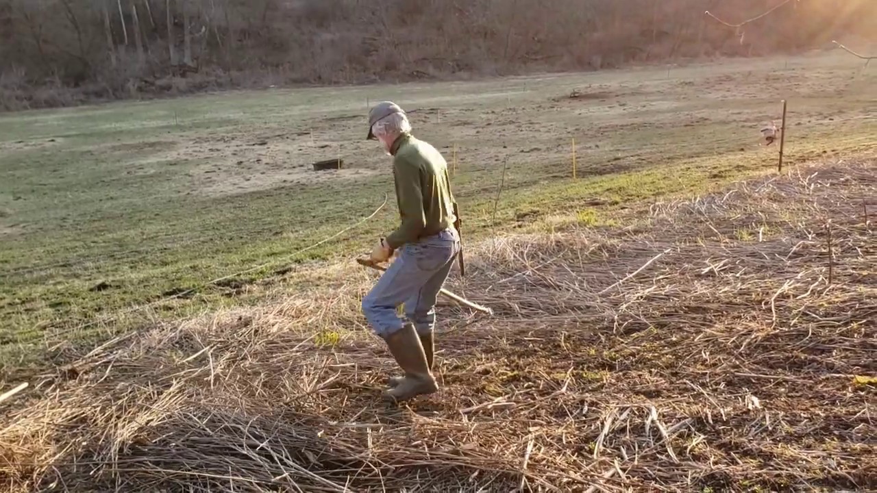 How to Mow With a Scythe - Dengarden