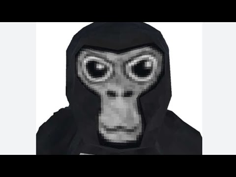 very first gtag video (may have some cussing from others)