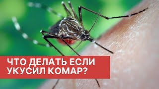 Что делать после укуса комаров/ опасны ли укусы комаров/как убрать зуд от укуса комара