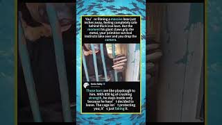 Those Iron Bars Can't Save You (You Just Don't Know It Yet) 🐻😱