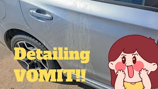 Vomit on the Car Paint!