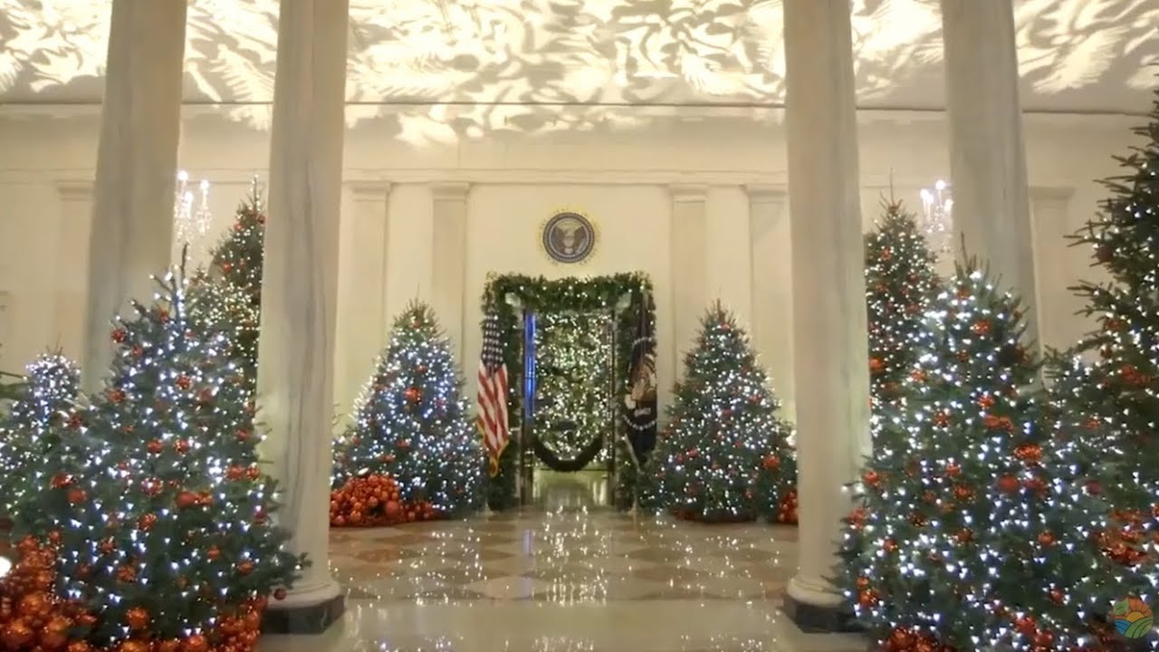How Do They Get A 25-Foot Tree Through The Door? See The White House Transform For Christmas