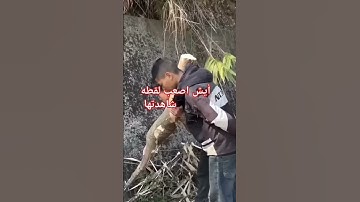 اتحداك ان تعرف أسم القارئ 🤔🤫