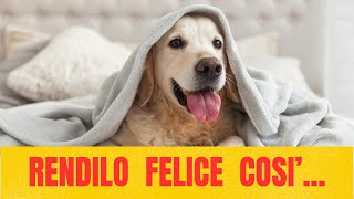 Come rendere felice il tuo cane! by Funny Pets 50 views 5 months ago 7 minutes, 35 seconds