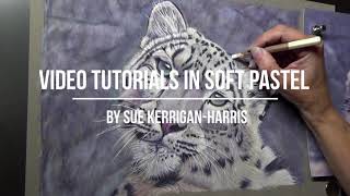 Snow Leopard Time Lapse in Soft Pastel (see description) screenshot 2