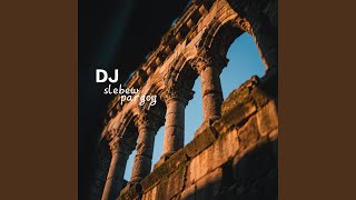 Dj Slebew pargoy