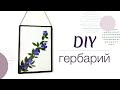 DIY стильный декор из гербария