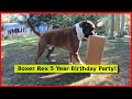 HAPPY BIRTHDAY BOXER REX - 5 Years Old Today!😁 Bubble Hunt - Presents - Cake - Pet Store - And More!