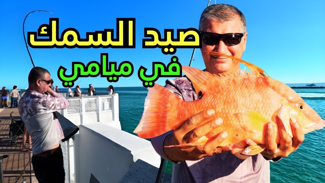 صيد السمك الافضل والاغرب في ميامي! 🎣🚢 وشاهدنا أسطول سفن الكروز العملاقة