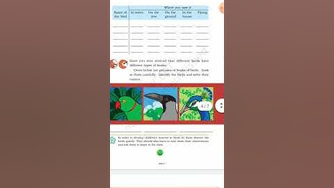 NCERT Class 3 EVS chapter - 8 flying high ( Part - 1 )