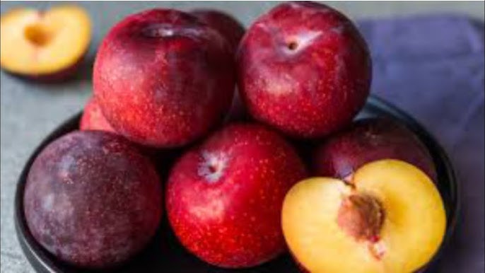 Onam porno striptiz video