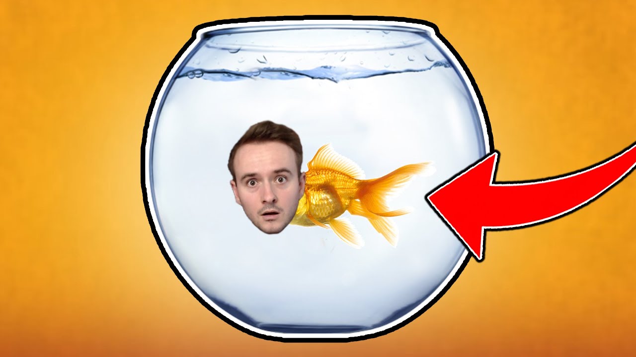 VENDALI JE RYBA NA MOSTĚ! - I Am Fish #2