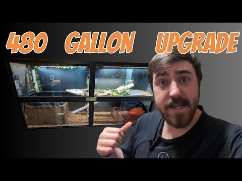 Ultimate Reticulated Python Enclosure Upgrade! | Apex Reptile Enclosure