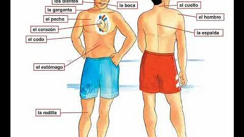 Dolor de cabeza - Learn Spanish body parts