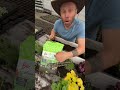 JAKIE ZIOŁA SADZIĆ  na balkonie?🌱🪴💪