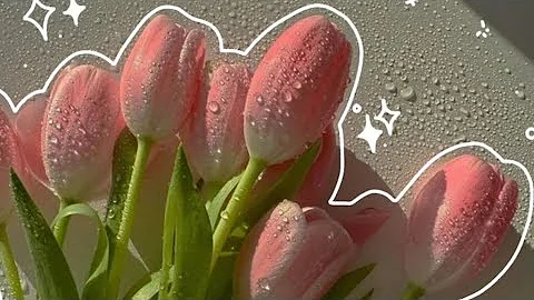 Live name writing with beautiful aesthetic fonts 🌷