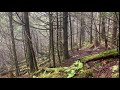 Second Nature - Foggy Woods, Great Smokey Mountains (Part 1)