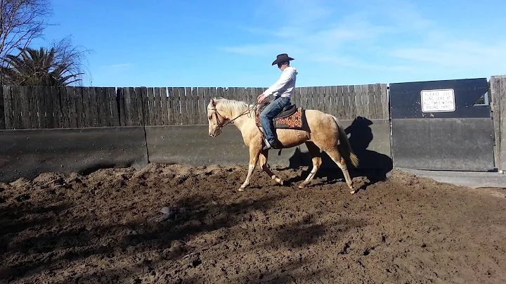 2Nd ride such a soft filly