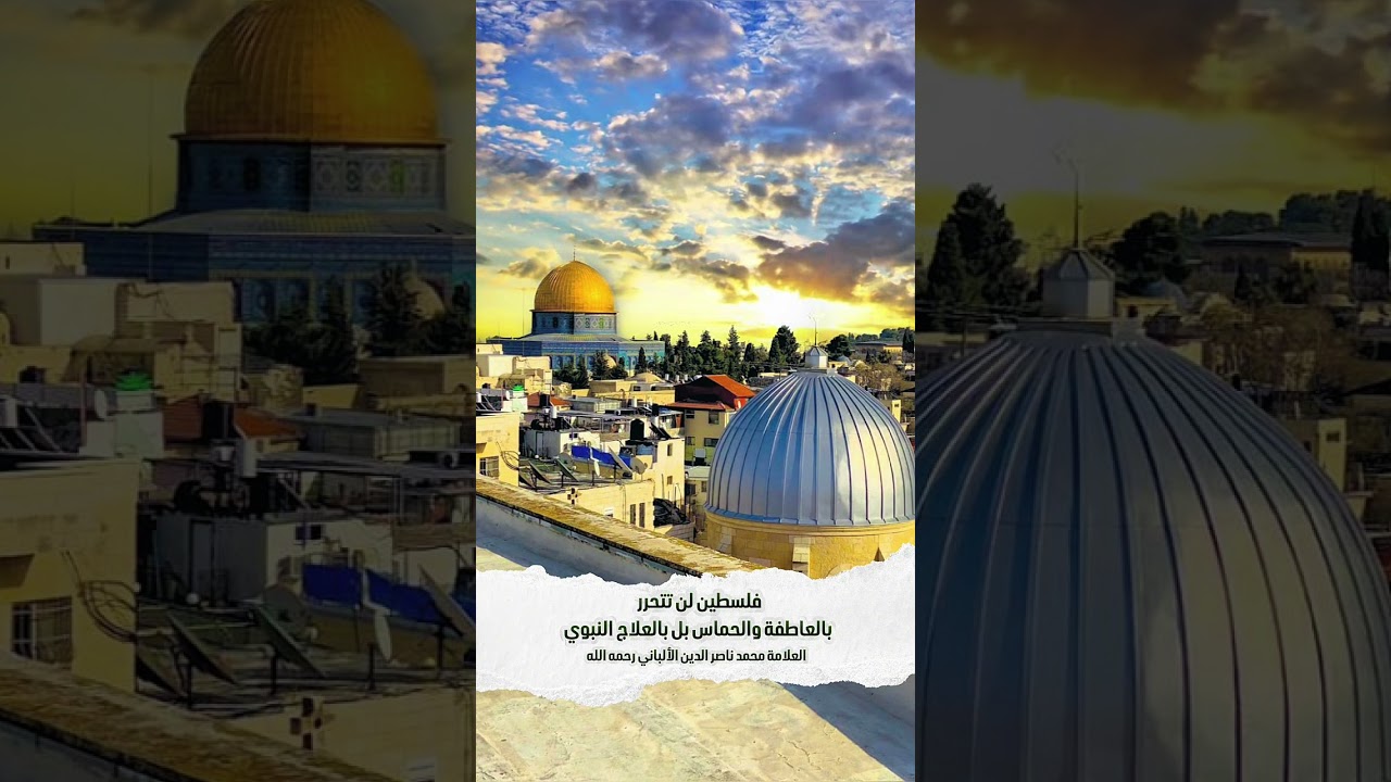 فلسطين لن تتحرر بالعاطفة والحماس بل بالعلاج النبوي .الشيخ العلامة محمد ناصر الدين الألباني رحمه الله