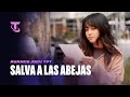 Avance /Dev TFT I: SALVA A LAS ABEJAS - Teamfight Tactics