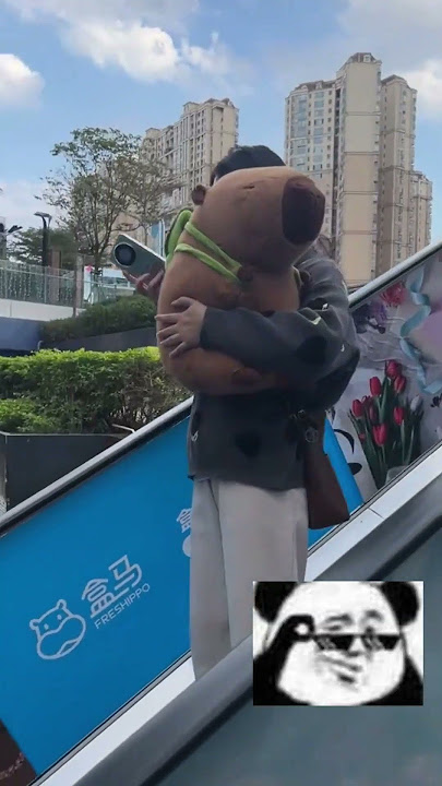 Why are their capybara plush toys so big??  #capybara
