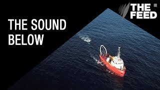 The Sound Below: The cost of seismic testing