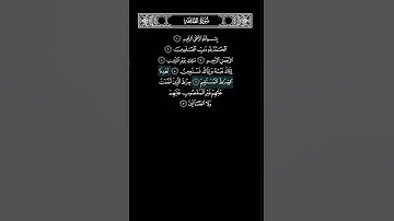 سورة الفاتحة - ماهر المعيقلي