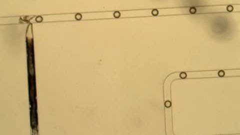Droplet formation in a microfluidic device
