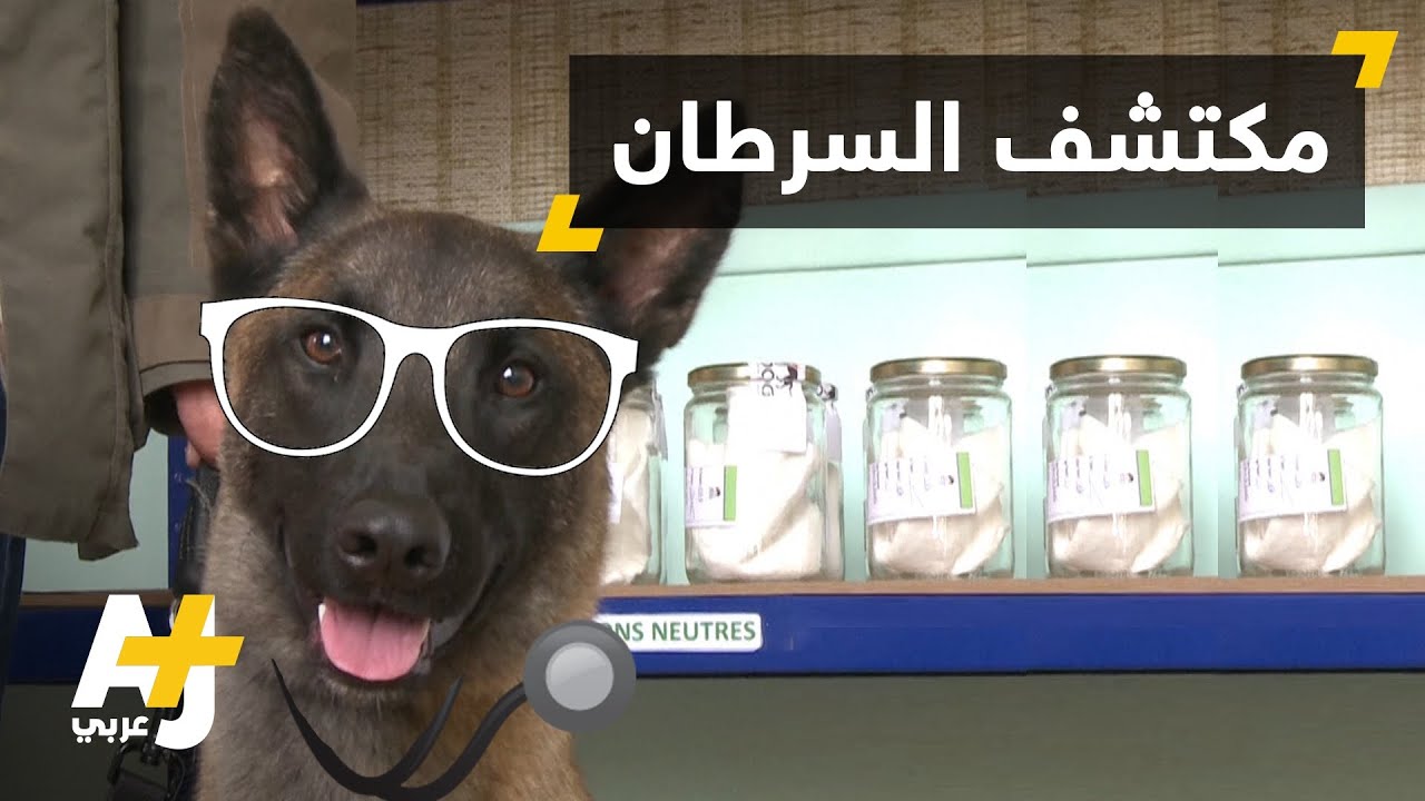 بحث طبي جديد عن سرطان الثدي