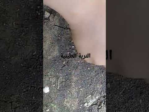 التربة الطينية
