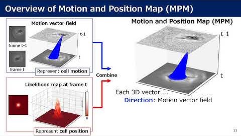 MPM: Joint Representation of Motion and Position Map for Cell Tracking