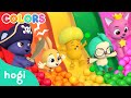 COLORFUL Slides and Ball Pit (Pirate ver. 🏴‍☠️)｜Learn Colors with Slides｜Colors for Kids｜Hogi Colors