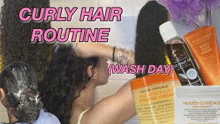CURLY HAIR ROUTINE| WASH DAY 2020