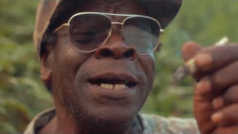 King Kong x Massive B - The Herb (Official Music Video)