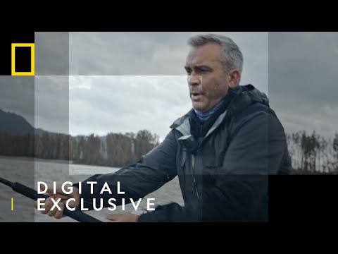 Catching A Monster White Sturgeon | Last Of The Giants: Wild Fish | National Geographic UK