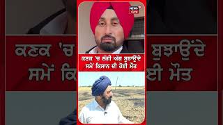 ਕਣਕ ਚ ਲਗ ਅਗ ਬਝਉਦ ਸਮ ਕਸਨ ਦ ਹਈ ਮਤ N18S