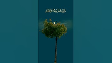 تلاوة خاشعة للقارئ الشيخ نعمة الحسان سورة الفتح (محمد رسول الله والذين معه)