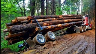 Extreme Drivers Logging Truck Cars Dangerous Skills Fails Work In Off Road by Beautiful planet 1,117 views 2 months ago 30 minutes