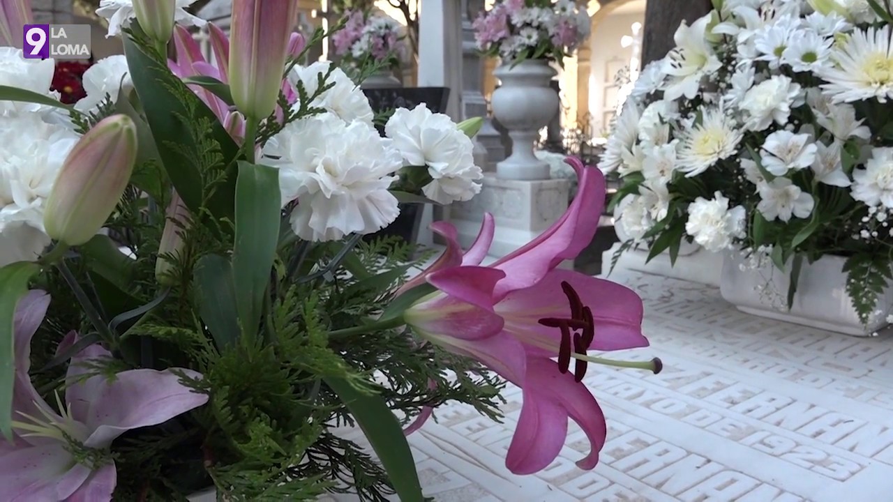 Eventos · Dia de los Santos en el Cementerio de Ubeda