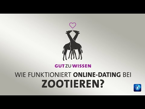 Dating für Tiere: Online-Datenbank für Zuchtprogramme
