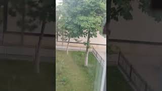 Evimize Kelebek Girmiş