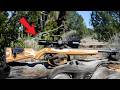 TOP 10 BEST .22LR RIFLES IN THE WORLD