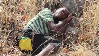 Nackis Foshize -chishala chamabvuto